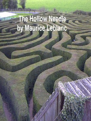 cover image of The Hollow Needle